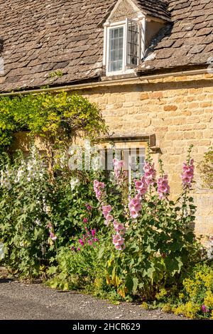 Des hollyhocks fleurissent à l'extérieur d'un cottage traditionnel en pierre dans le village de Taynton, Oxfordhire, Royaume-Uni Banque D'Images