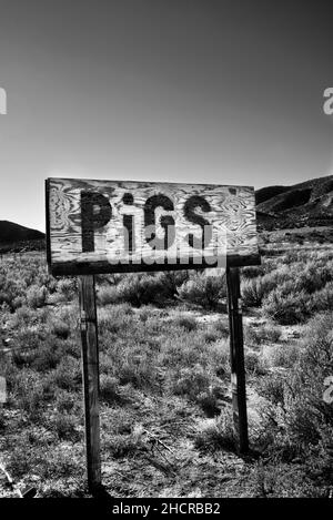 Un panneau de bord de route fait la publicité des porcs à la vente près de la campagne Ojo Caliente, Nouveau-Mexique Banque D'Images