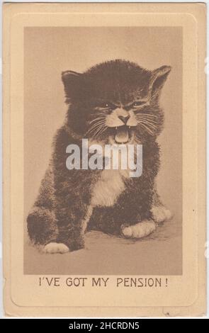 'J'ai ma pension!': Carte postale d'un chaton noir et blanc criant.La légende fait référence à l'introduction des premières pensions de l'État au Royaume-Uni en 1909.Cette image d'un chaton enragé et exigeant a été utilisée avec une série de légendes au début du 20th siècle (une sorte de mémoire édouardien), d'autres légendes ont été utilisées comme « Je veux ma ma! »Et le thème de suffragette « Je veux mon vote ! » Banque D'Images