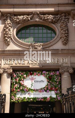 Royaume-Uni, Angleterre, Manchester, Oxford Road, la décoration architecturale de l'ancien bureau de la compagnie d'assurance refuge, maintenant Kimpton Hotel, Giraffe affiche floriste Banque D'Images