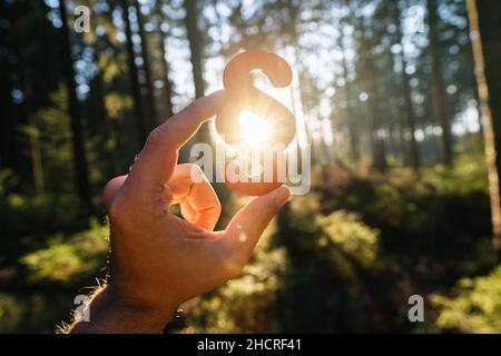 Main tient le paragraphe signe dans le soleil à une forêt, symbole de droit et de justice concept image Banque D'Images