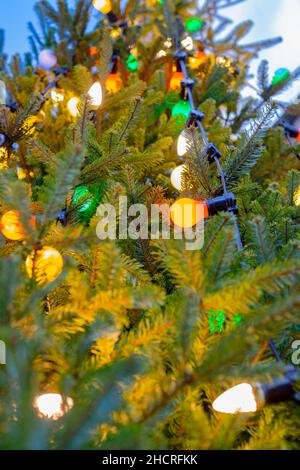 Détail de l'arbre de Noël avec des ampoules à l'ancienne au village de Beamish Banque D'Images