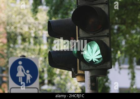 Feu de circulation avec panneau vert sur la marijuana ou le cannabis Banque D'Images