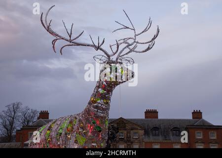 Renne géant à Dunham Massey National Trust, Cheshire, Angleterre, Royaume-Uni à Noël Banque D'Images