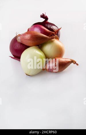 Trois différents types d'oignons sur un fond blanc. Banque D'Images