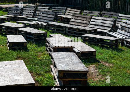 Bancs extérieurs pour le théâtre .Sièges en bois en plein air Banque D'Images