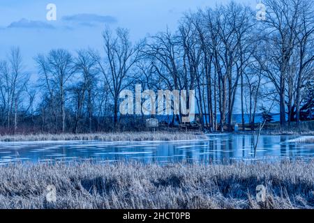 Ruisseau Sheridan gelé dans le marais de Rattray Banque D'Images