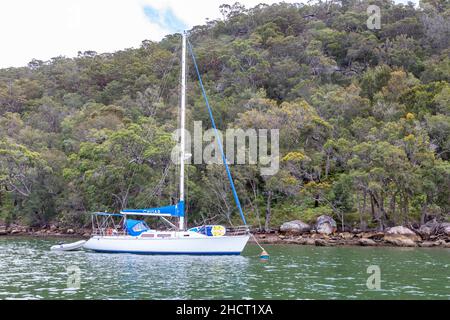 Yacht Moore a enfilé une bouée dans la baie refuge sur la rivière Hawkesbury, Sydney, Australie, avec le Bush du parc national derrière Banque D'Images