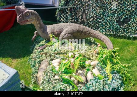 Un modèle d'Oviraptor, un petit dinosaure de la période du Crétacé, assis sur un nid plein d'oeufs Banque D'Images