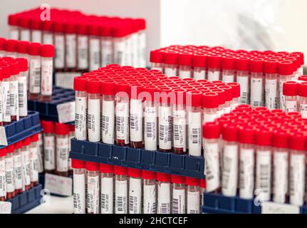 Série réelle de tubes à essai PCR moléculaires, écouvillons nasaux et oropharyngés avec réactif rouge en flacons, tests de dépistage du SRAS COV-2, Covid-19 ou coronavirus Banque D'Images