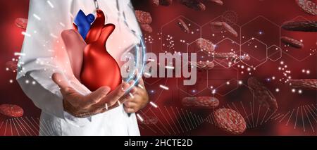 Médecin tenant un coeur de 3D entouré de globules rouges dans le concept de la santé cardiaque, l'assurance médicale et le statut personnel.Supports mixtes.L'avenir médical Banque D'Images