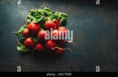 Radis rouge été récolté.Culture de légumes biologiques.Grand bouquet de radis juteux frais crus sur fond sombre prêt à manger. copyspace pour y Banque D'Images