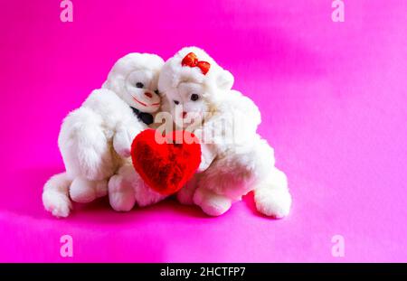 Singes doux tenant un coeur sur un fond rose.Un symbole de l'amour. saint-valentin Banque D'Images