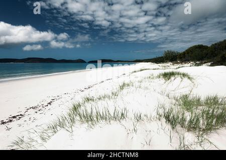 Whitehaven Beach est toujours à trouver dans les dix premières plages du monde. Banque D'Images