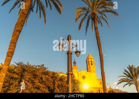 GRANDS PALMIERS SCULPTURE PARC FRONT DE MER SANT BARTOMEU I SANTA TECLA EGLISE SITGES COSTA DORADA CATALOGNE ESPAGNE Banque D'Images