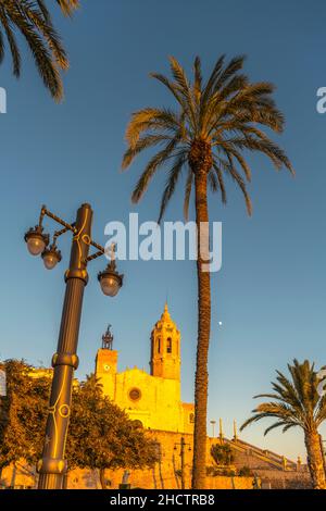 GRANDS PALMIERS SCULPTURE PARC FRONT DE MER SANT BARTOMEU I SANTA TECLA EGLISE SITGES COSTA DORADA CATALOGNE ESPAGNE Banque D'Images
