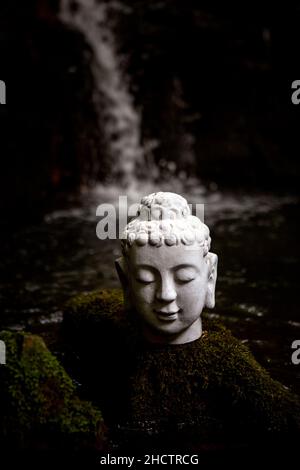 vieux bouddha de pierre tête dans la nature à la cascade Banque D'Images