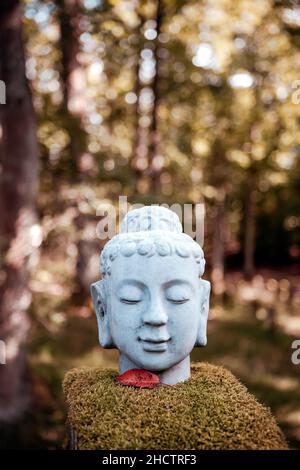 gros plan d'un vieux bouddha de pierre tête dans la nature en forêt Banque D'Images