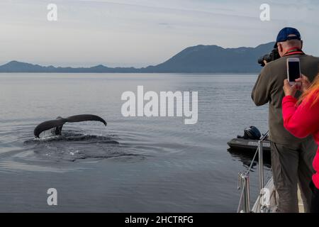 Canada, Colombie-Britannique, Great Bear Rainforest, île fin.Queue de baleine à bosse.Touristes en voilier pour observer les baleines. Banque D'Images