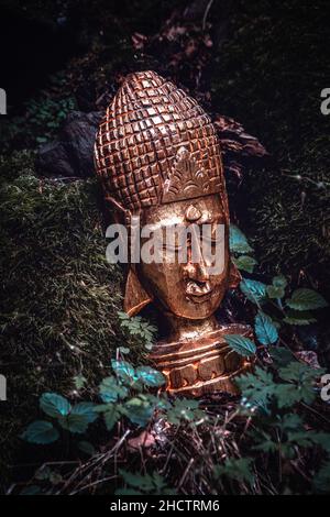 ancienne tête de bouddha plaquée or dans la nature Banque D'Images