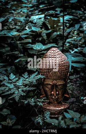 ancienne tête de bouddha abandonnée en plaqué or dans la nature Banque D'Images