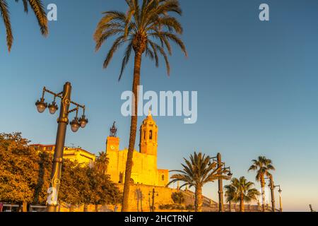 GRANDS PALMIERS SCULPTURE PARC FRONT DE MER SANT BARTOMEU I SANTA TECLA EGLISE SITGES COSTA DORADA CATALOGNE ESPAGNE Banque D'Images
