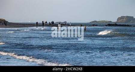 North Berwick, East Lothian, Écosse, Royaume-Uni, 1st janvier 2022.Météo au Royaume-Uni : jour de l'an doux à la plage.La côte est animée par des randonneurs qui profitent du temps ensoleillé et non saisonnier.Photo : un couple peut profiter d'un petit tour dans le Firth of Forth Banque D'Images