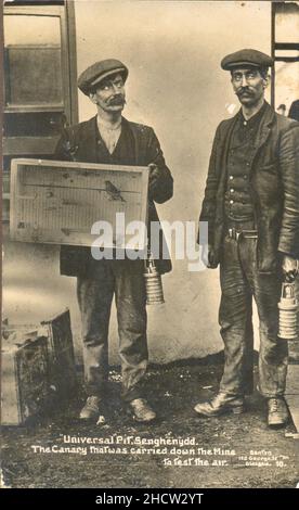 Photo carte postale photographie de deux mineurs d'Universal Pit, dans la vallée d'Aber, au pays de Galles avec leur canari pour tester l'air dans la mine 1914 Banque D'Images