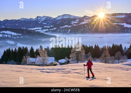 Paysage avec une femme regardant le lever du soleil sur la chaîne de montagnes Nagelfluh lors d'une randonnée en raquettes dans les Alpes d'Allgaeu près d'Oberstaufen, Allemagne, Bavière, Banque D'Images