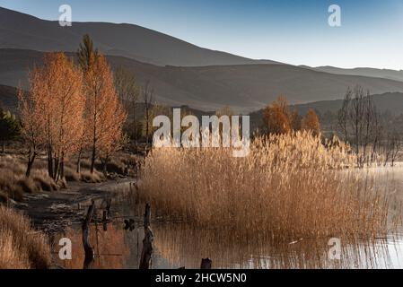 Lac Tislit au Maroc.Vue sur les plantes herbeuses qui poussent dans le lac tandis que la brume s'efface au-dessus du lac avec le soleil du matin Banque D'Images