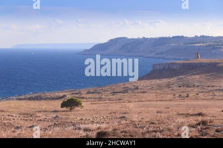 Les plus belles côtes de l'Italie : le paysage marin d'Apulia la côte d'Otranto-Santa Maria di Leuca et le parc naturel régional de Tricase Woods. Banque D'Images