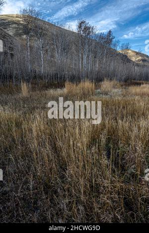 Le long de la piste d'Umtanum Creek, WA Banque D'Images