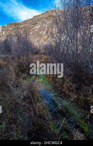 Le long de la piste d'Umtanum Creek, WA Banque D'Images