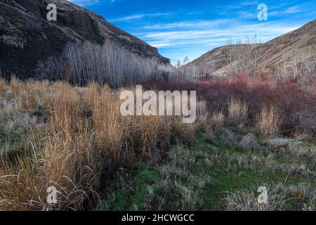 Le long de la piste d'Umtanum Creek, WA Banque D'Images