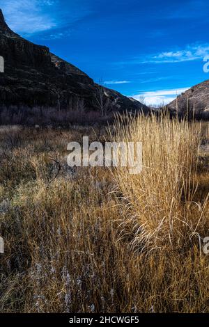 Le long de la piste d'Umtanum Creek, WA Banque D'Images