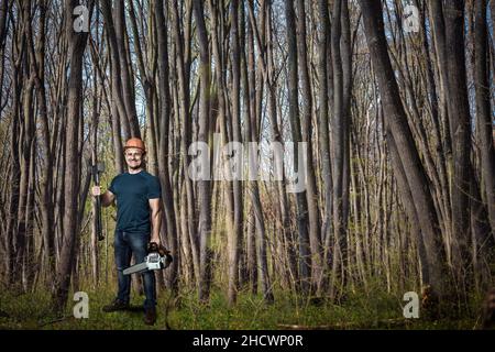 Coupe de bois avec hache et tronçonneuse dans une forêt de charme Banque D'Images