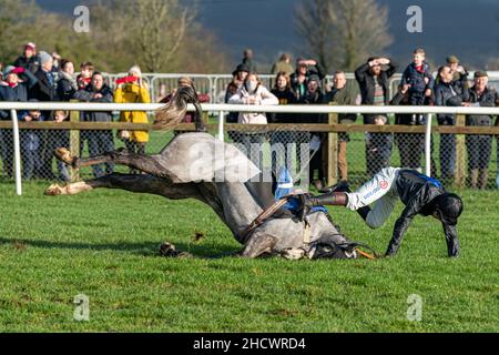 Courses du lendemain de Noël à Wincanton - course 1 Banque D'Images