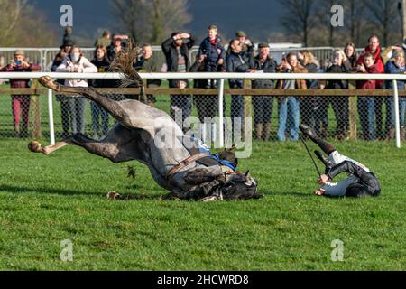 Courses du lendemain de Noël à Wincanton - course 1 Banque D'Images