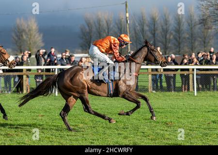 Courses du lendemain de Noël à Wincanton - course 1 Banque D'Images