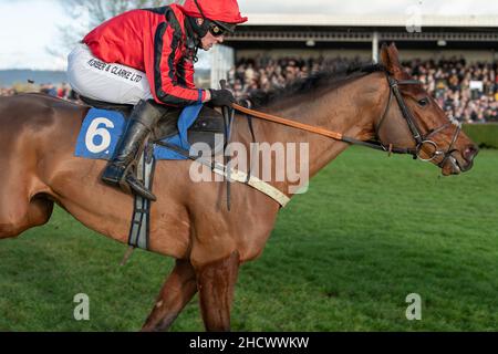 Ruisseau Butterwick en cours d'exécution à Wincanton le lendemain de Noël 2021 Banque D'Images