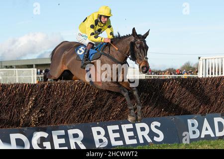 Juste un saut de Sting à Wincanton le lendemain de Noël 2021 Banque D'Images