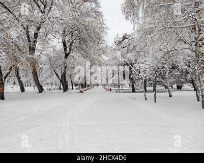 Une allée vide et enneigée dans le vieux parc de la ville au début de décembre matin Banque D'Images