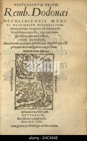 trium prium de jinspium historia commentariorum imagines ad viuum expressae Banque D'Images