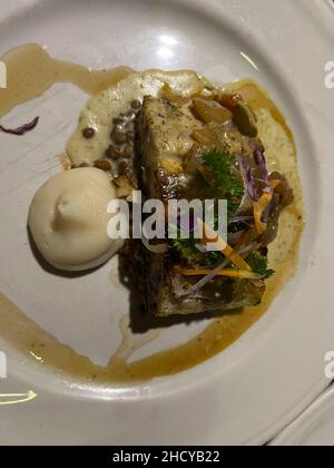 Steak de poisson grillé avec purée de pommes de terre et légumes en gros plan.Un morceau cuit savoureux sur une assiette blanche. Banque D'Images