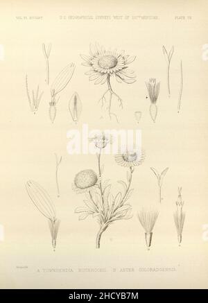 Rapport sur les enquêtes géographiques des États-Unis à l'ouest de la plaque d'un centième méridien (VII) Banque D'Images