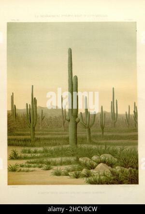 Rapport sur les enquêtes géographiques des États-Unis à l'ouest de la centième méridien Banque D'Images