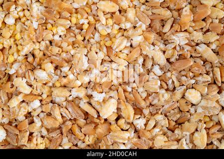 Grains de céréales mélangés et graines en flocons, vue du dessus.Macro de grains de blé dur, de grains de sorgho, de millets et d'orge perlée.Fabriqué avec une flaker à grain Banque D'Images