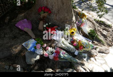 Los Angeles, Californie, États-Unis 1st janvier 2022 des fleurs et des notes sont laissées en mémoire pour l'actrice Betty White à sa maison, montrée ici après son départ le 31 décembre 2021 à Los Angeles, Californie, États-Unis.Photo de Barry King/Alay Live News Banque D'Images