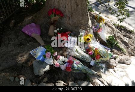 Los Angeles, Californie, États-Unis 1st janvier 2022 des fleurs et des notes sont laissées en mémoire pour l'actrice Betty White à sa maison, montrée ici après son départ le 31 décembre 2021 à Los Angeles, Californie, États-Unis.Photo de Barry King/Alay Live News Banque D'Images