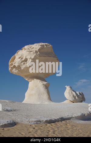 Formation de roche en forme d'oiseau dans le désert blanc, Egypte Banque D'Images